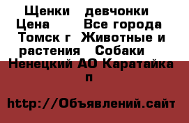 Щенки - девчонки › Цена ­ 2 - Все города, Томск г. Животные и растения » Собаки   . Ненецкий АО,Каратайка п.